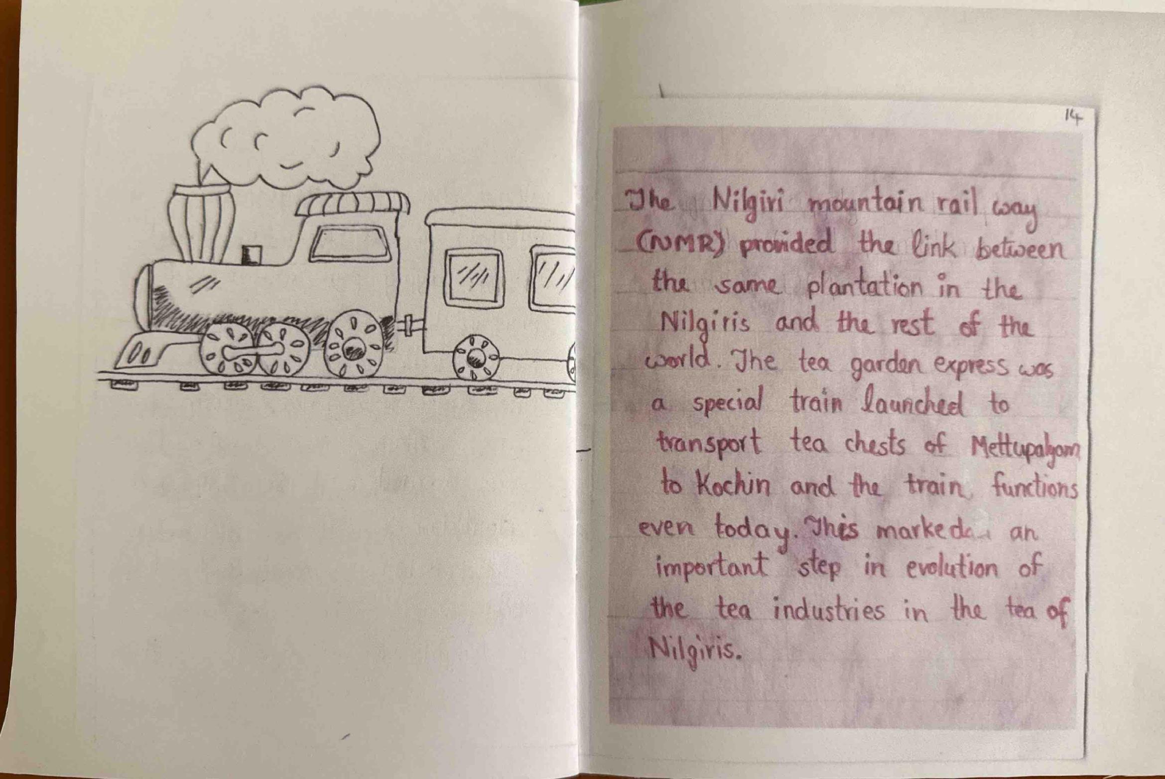 A steam train, and the Nilgiri Mountain Railway linking the tea gardens to the world